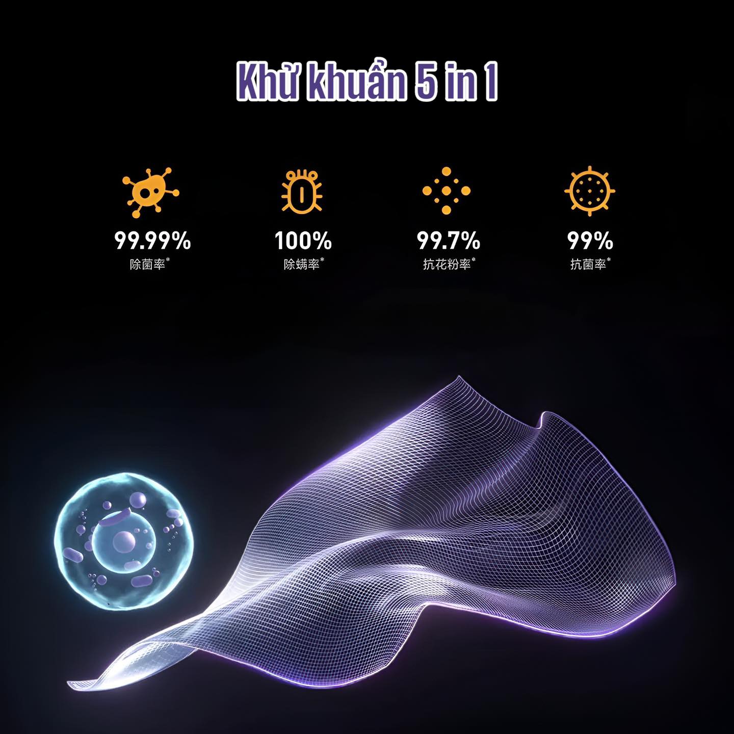 333623747 586901256377592 4819004083483761482 n