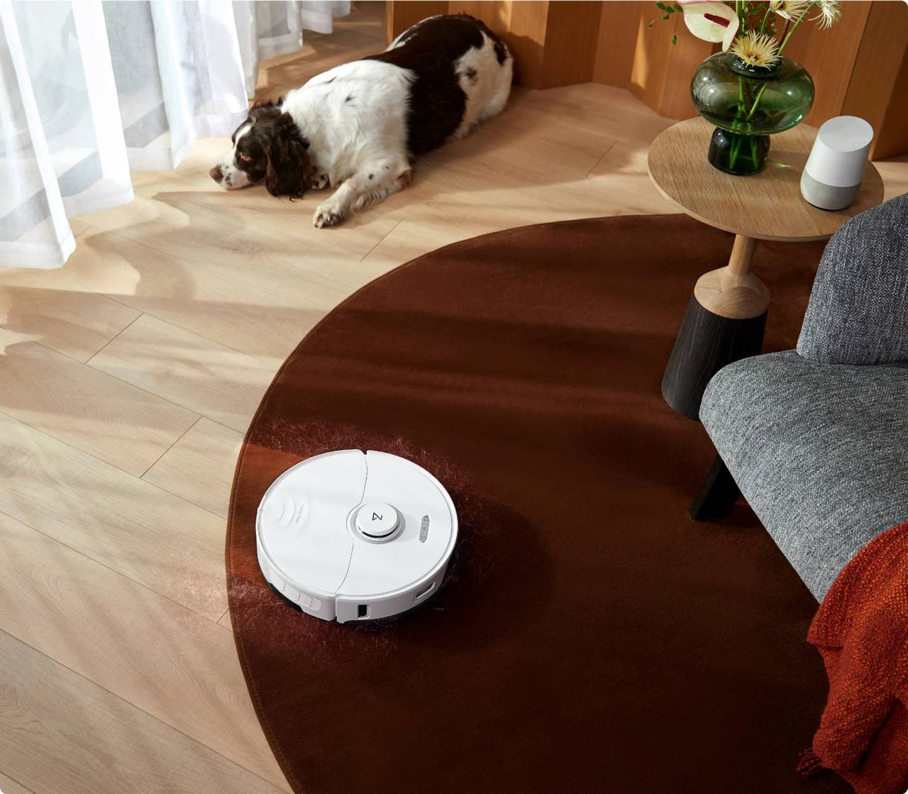 Làm sạch thảm dễ dàng với Roborock Carpet Boost+